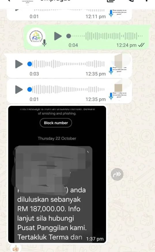 Testimoni pelanggan PRO-LUNAS 1 dalam tangkap layar WhatsApp
